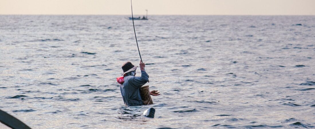 Paddle Board Fishing Guide: Boards, Stability, Safety and Licences