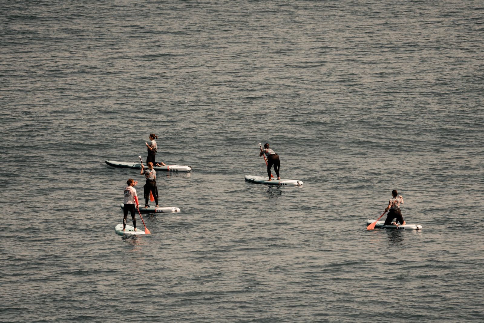 Paddle Board Tours, Lessons and Rentals in the USA: 12 Providers to Know